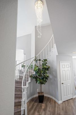 Chandelier, Interior, Wood Texture Flooring