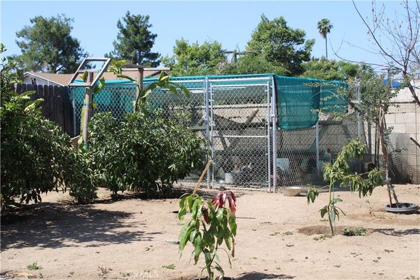 Exterior, Tennis Courts