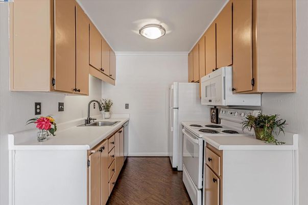 Interior, Kitchen, Wood Texture Flooring