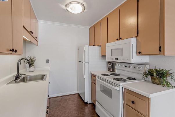 Interior, Kitchen, Wood Texture Flooring