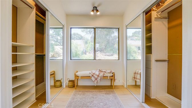 Interior, Walk-in Closets, Wood Texture Flooring
