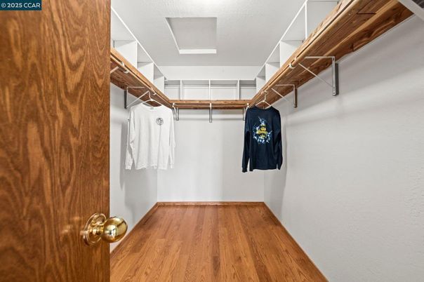 Interior, Walk-in Closets, Wood Texture Flooring
