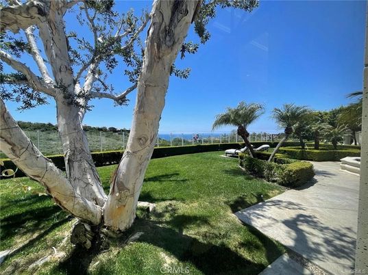 Backyard, Exterior, Water