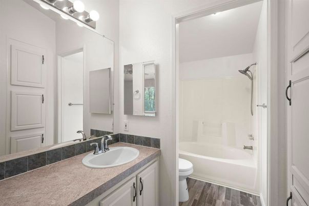 Bathroom, Dual Sink Vanities, Interior, Wood Texture Flooring
