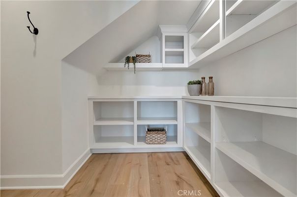 Interior, Walk-in Closets, Wood Texture Flooring