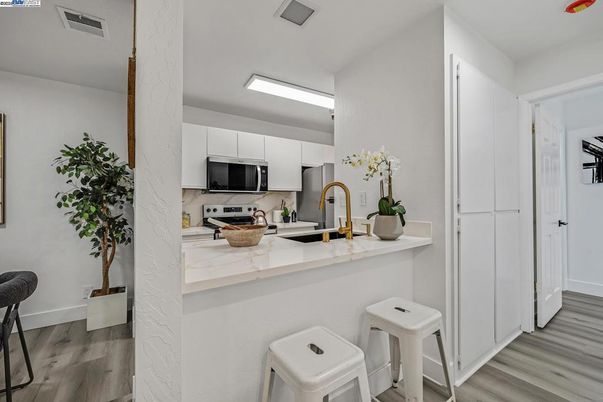 Interior, Kitchen, Stainless Steel Appliances, Wood Texture Flooring