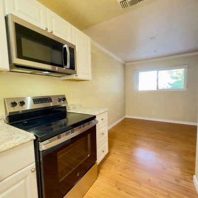Interior, Kitchen, Stainless Steel Appliances, Wood Texture Flooring