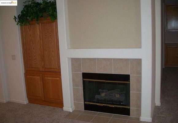 Fireplace, Interior
