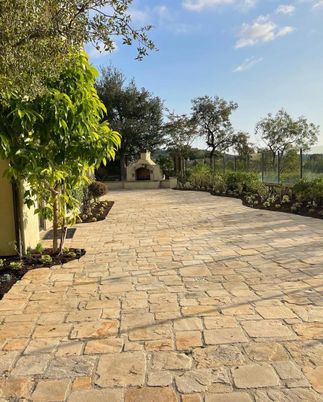 Backyard, Exterior, Fireplace