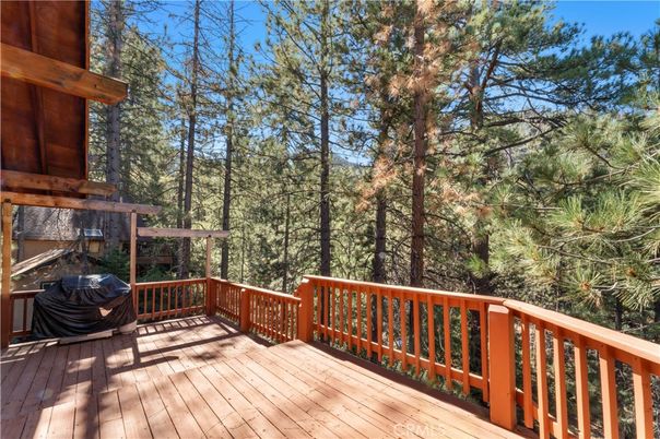 Exterior, Wood Texture Flooring