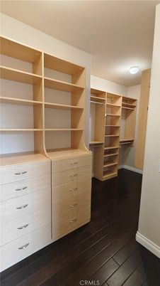 Interior, Walk-in Closets, Wood Texture Flooring