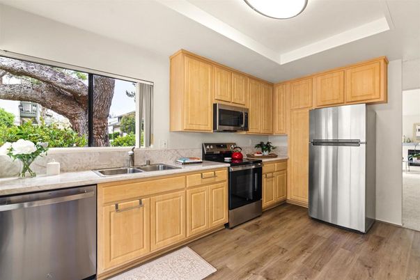 Interior, Kitchen, Stainless Steel Appliances, Wood Texture Flooring