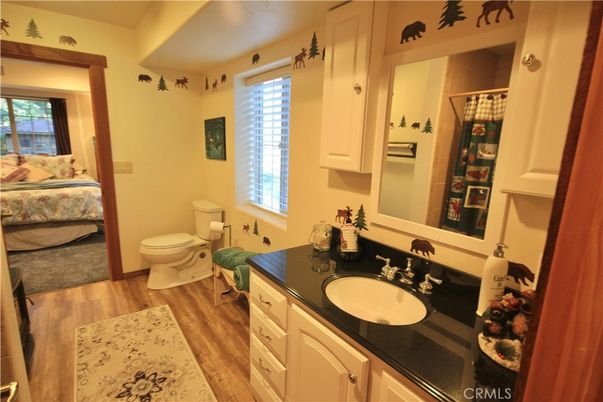 Bathroom, Interior, Wood Texture Flooring