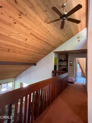 Interior, Wooden Ceilings