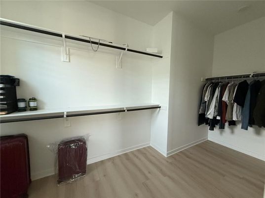 Interior, Walk-in Closets, Wood Texture Flooring