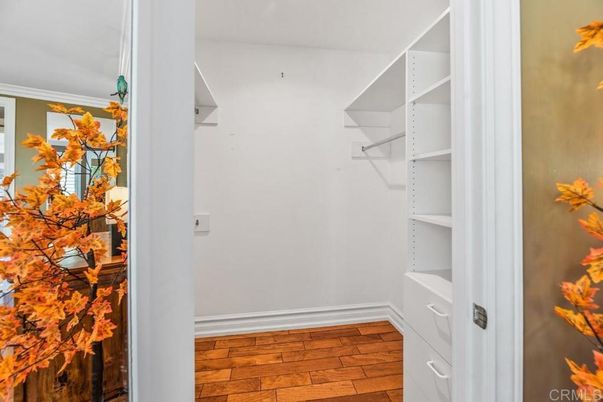 Interior, Walk-in Closets, Wood Texture Flooring