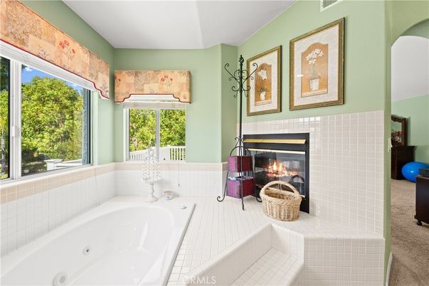 Bathroom, Fireplace, Interior