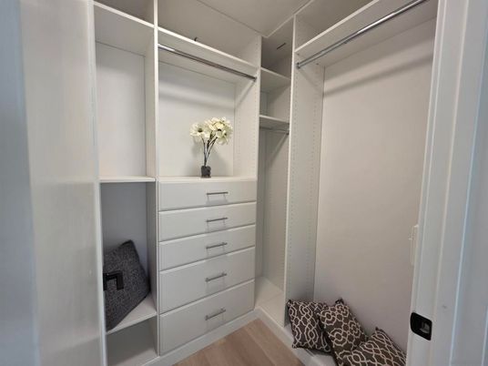 Interior, Walk-in Closets, Wood Texture Flooring
