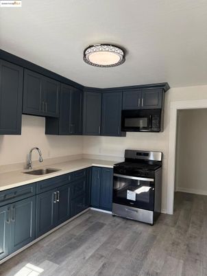 Interior, Kitchen, Stainless Steel Appliances, Wood Texture Flooring