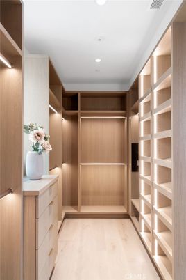 Interior, Recessed Lighting, Walk-in Closets, Wood Texture Flooring