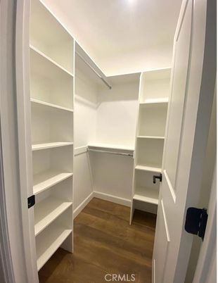 Interior, Walk-in Closets, Wood Texture Flooring