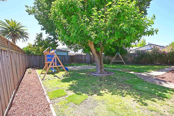Backyard, Exterior, Playground
