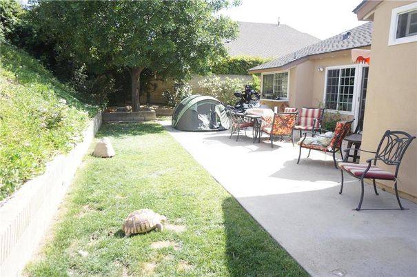 Backyard, Exterior