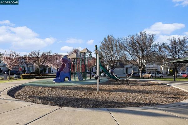 Backyard, Exterior, Playground