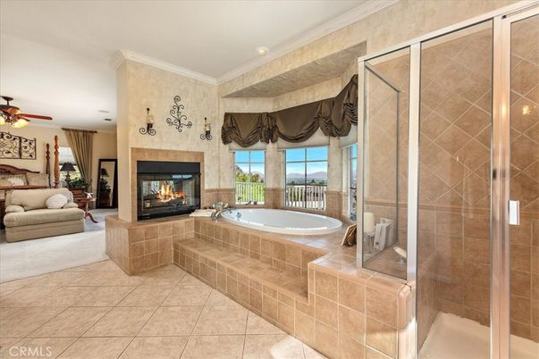 Bathroom, Fireplace, Interior