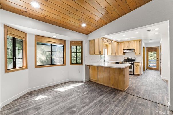 Interior, Kitchen, Recessed Lighting, Stainless Steel Appliances, Wooden Ceilings, Wood Texture Flooring