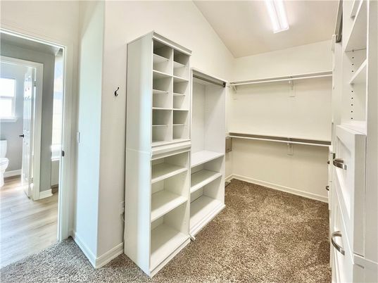 Interior, Walk-in Closets, Wood Texture Flooring
