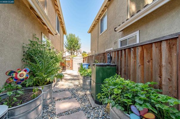 Backyard, Exterior, Solar Panels
