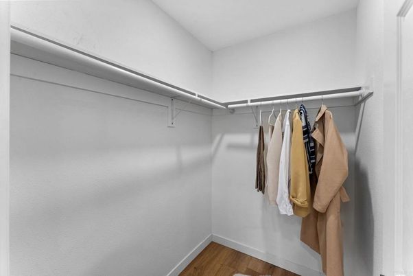 Interior, Walk-in Closets, Wood Texture Flooring