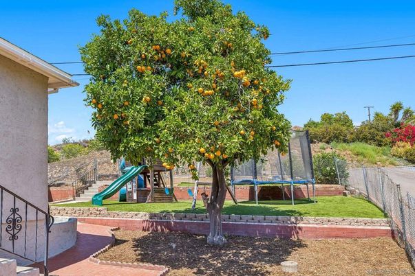 Backyard, Exterior, Playground