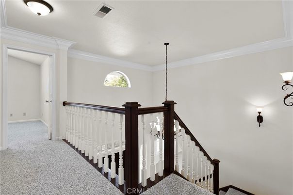 Interior, Pendant Lights