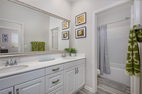 Bathroom, Dual Sink Vanities, Interior, Wood Texture Flooring
