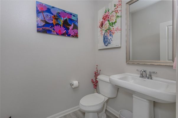 Bathroom, Interior, Wood Texture Flooring