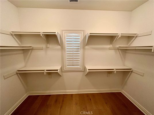 Interior, Walk-in Closets, Wood Texture Flooring