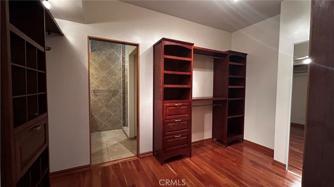 Interior, Walk-in Closets, Wood Texture Flooring