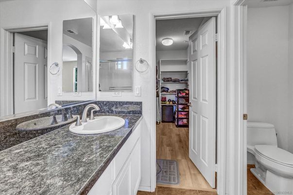 Bathroom, Dual Sink Vanities, Interior, Walk-in Closets, Wood Texture Flooring