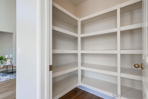 Interior, Walk-in Closets, Wood Texture Flooring