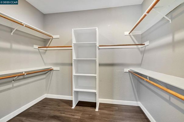 Interior, Walk-in Closets, Wood Texture Flooring