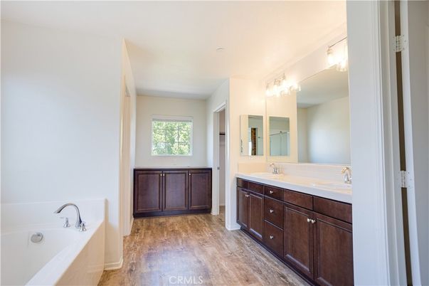 Bathroom, Dual Sink Vanities, Interior, Wood Texture Flooring