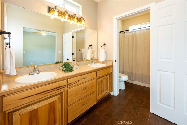 Bathroom, Dual Sink Vanities, Interior, Wood Texture Flooring