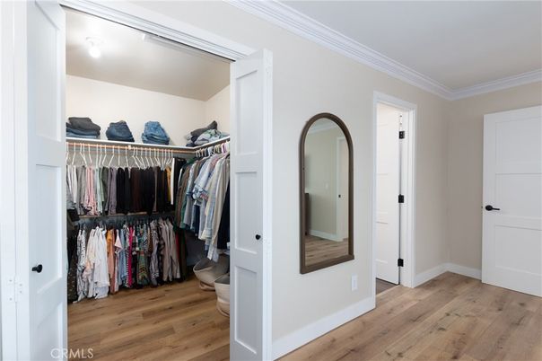 Interior, Walk-in Closets, Wood Texture Flooring
