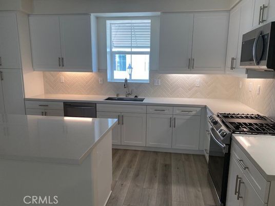 Interior, Kitchen, Stainless Steel Appliances, Wood Texture Flooring