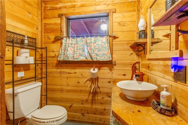 Bathroom, Interior, Wooden Walls