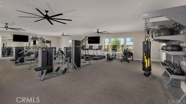 Fitness Equipment, Gym, Interior, Recessed Lighting