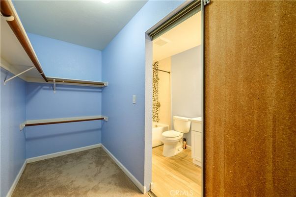 Bathroom, Interior, Walk-in Closets, Wood Texture Flooring