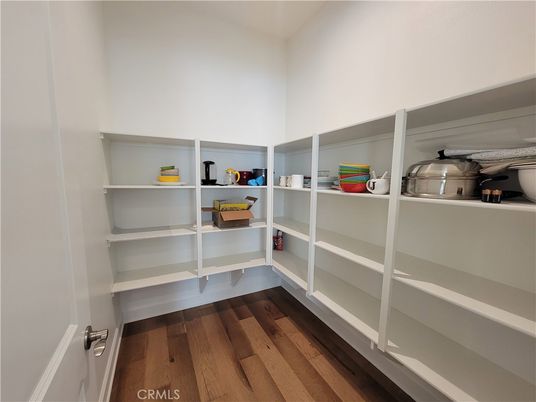 Interior, Walk-in Closets, Wood Texture Flooring